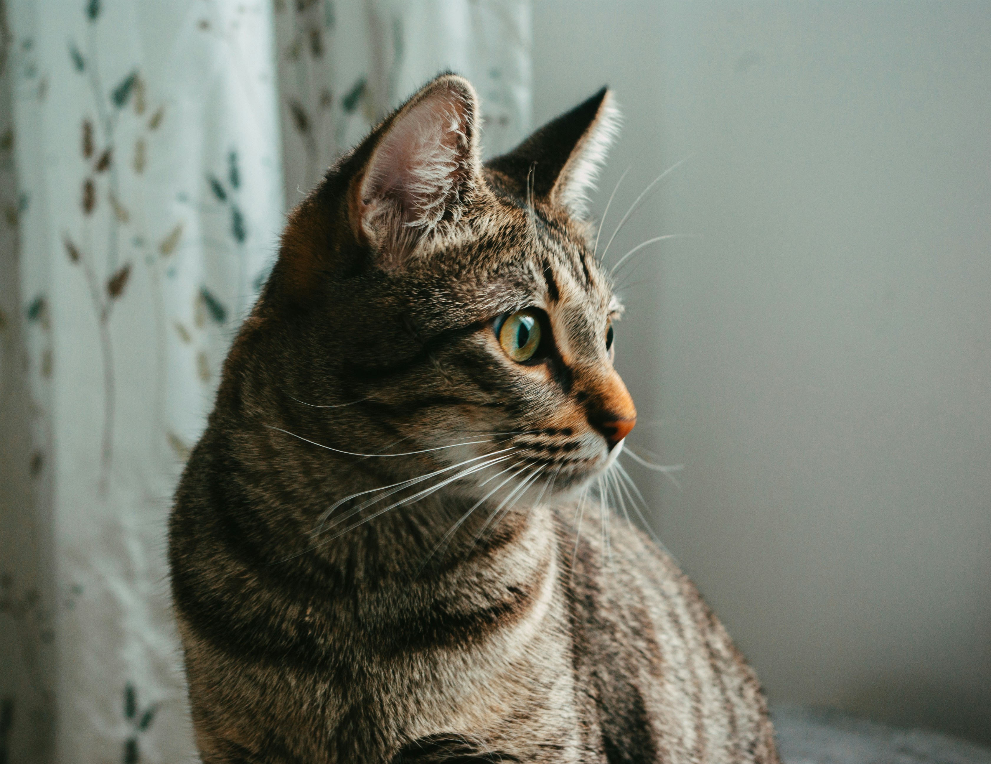 Photo by moonmoons_days