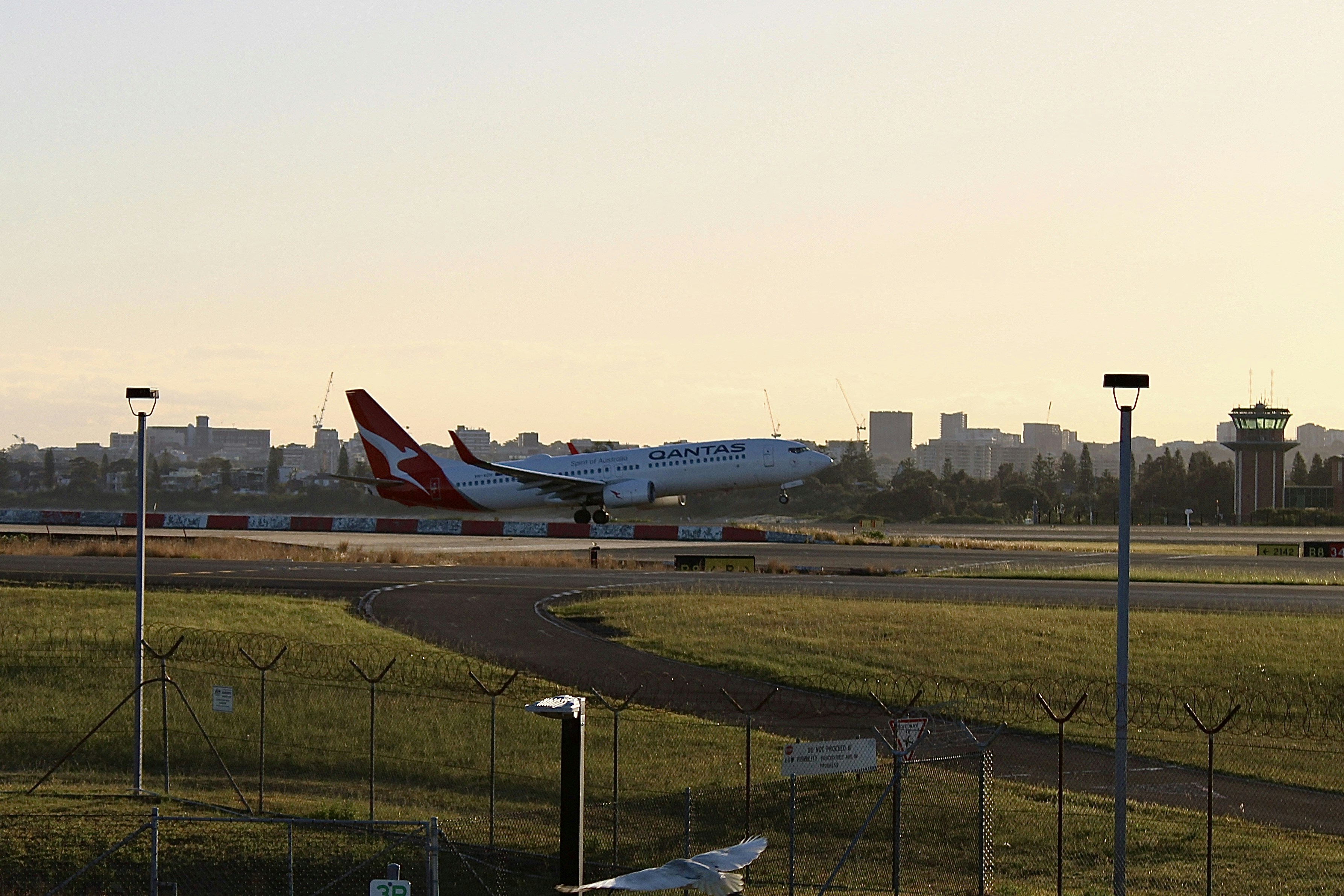 a large jetliner taking off from an airport runway, V1, Rotate qantas 34L