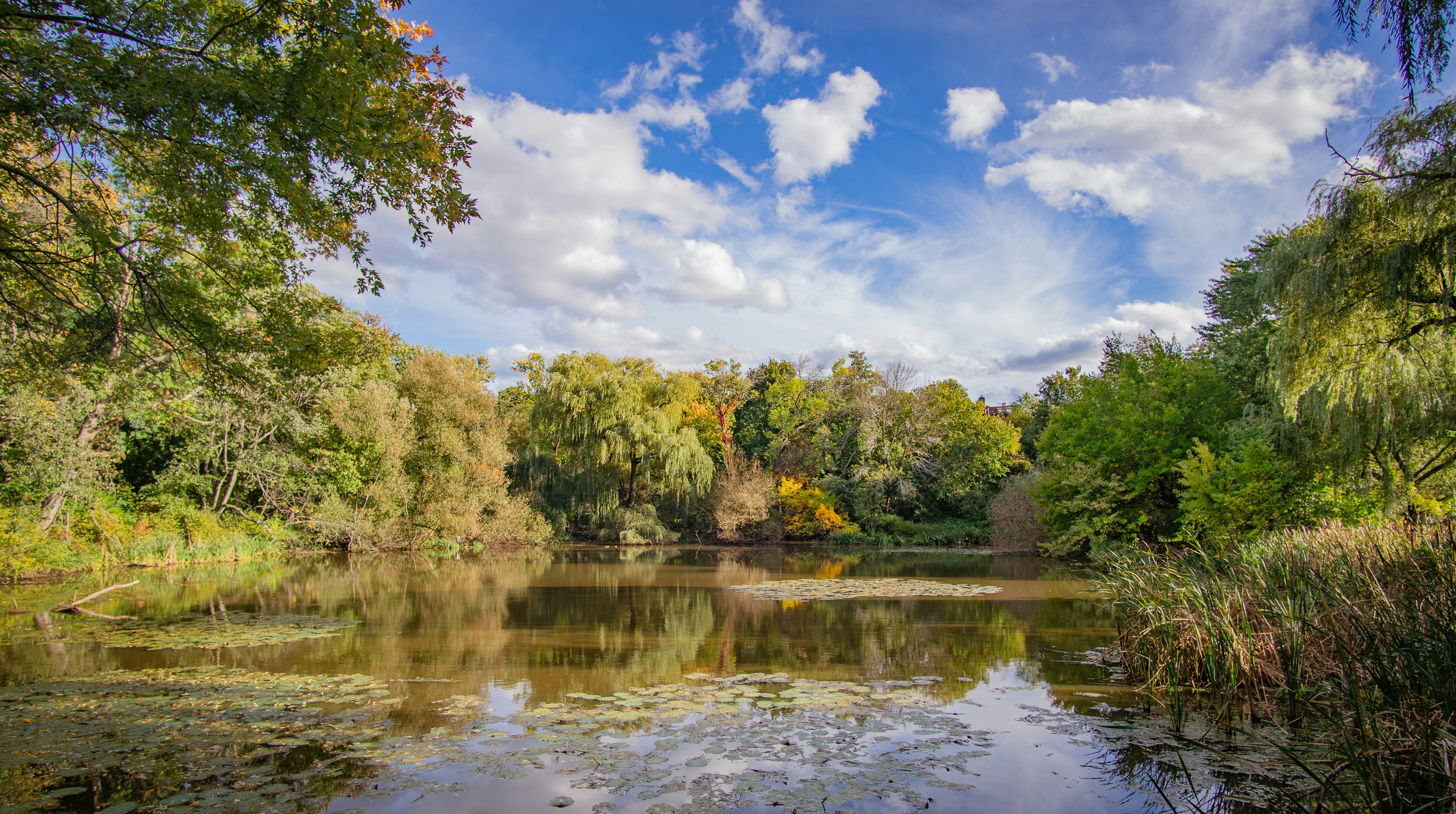 Photo by alohaboston