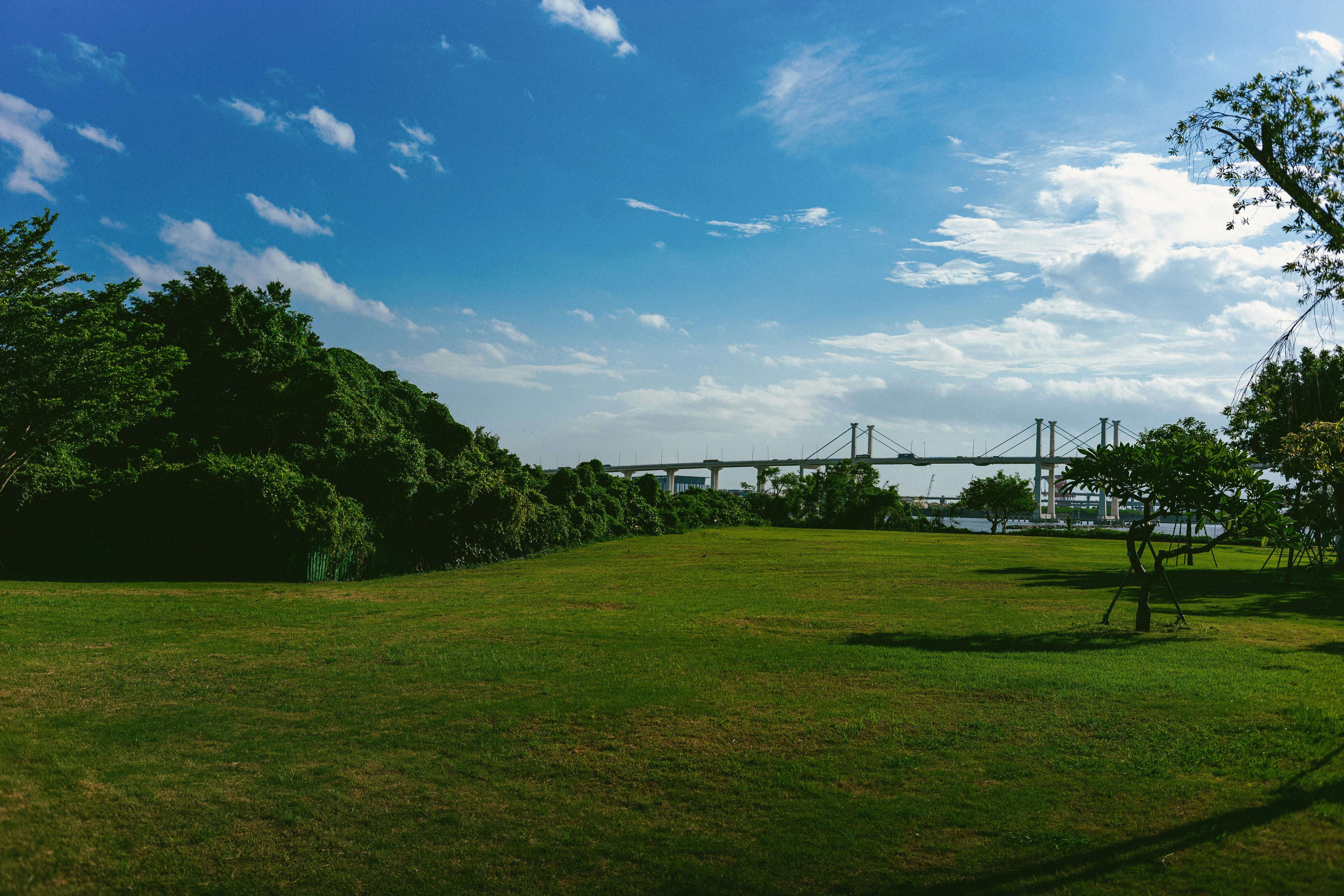 Photo by tommaomaoer