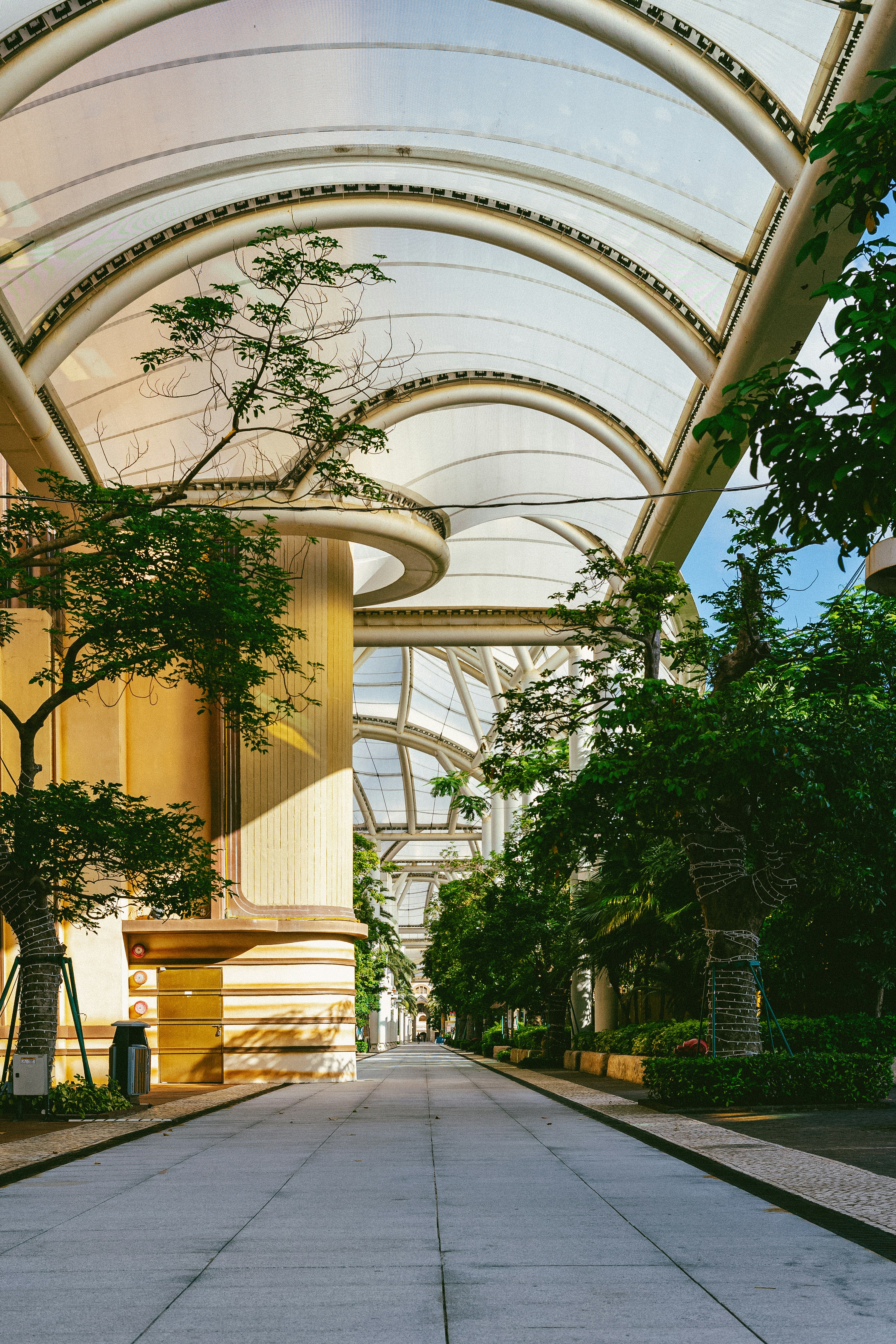 Photo by tommaomaoer