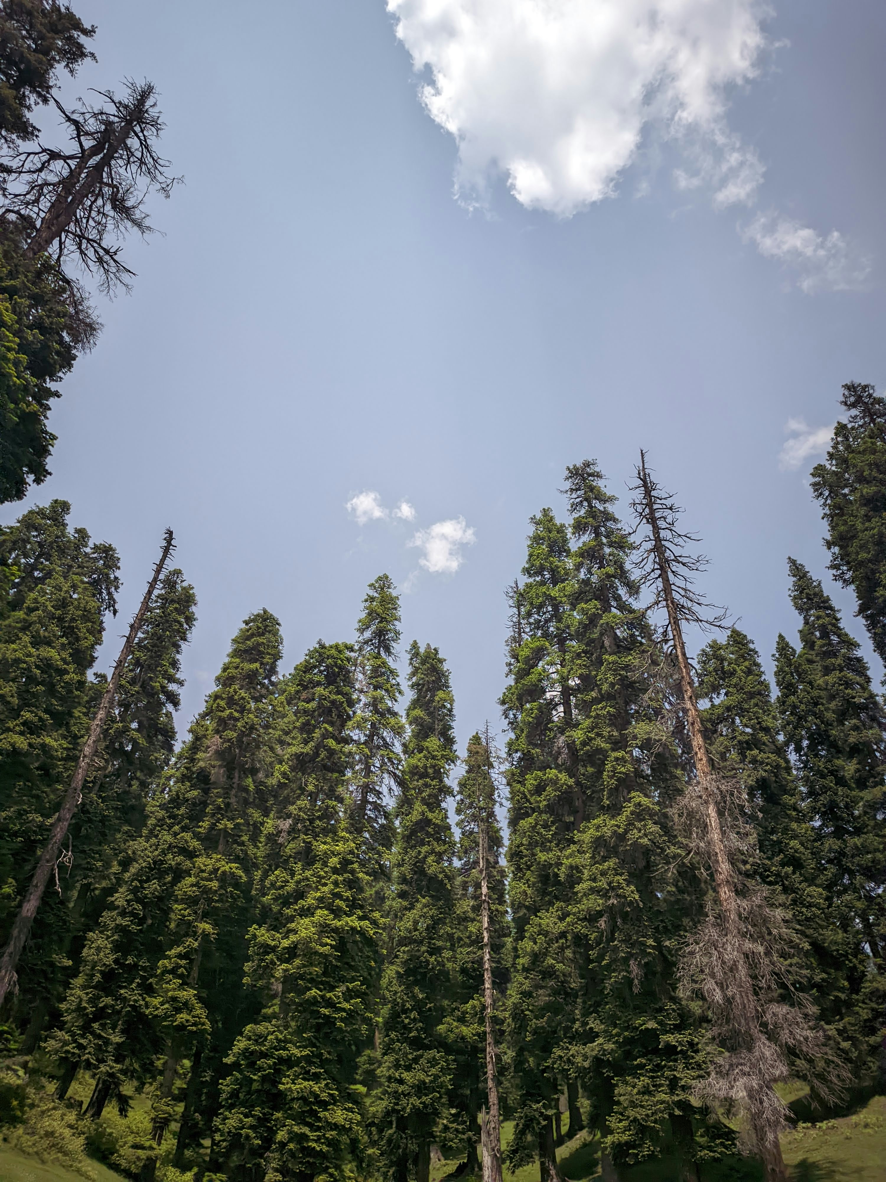 Photo by fahadputhawala