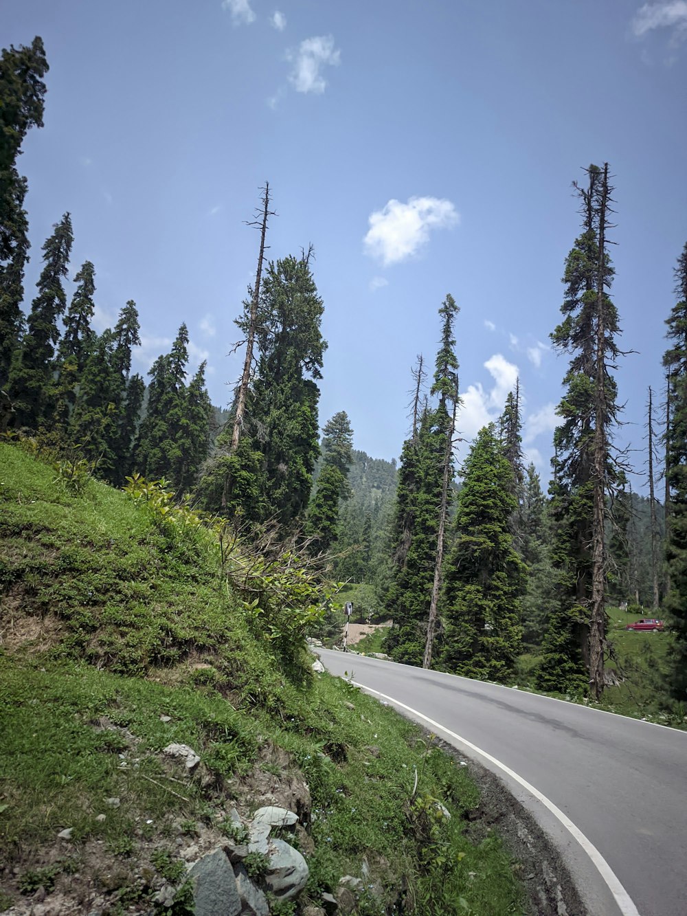 a winding road surrounded by trees and rocks