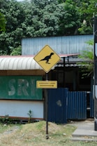 A yellow road sign featuring a dinosaur icon against a natural backdrop with trees and a rustic building. Below the sign, another sign directs towards 'Jurassic Land'. The area has a mix of green foliage, a corrugated roof, and a blue panel fence.