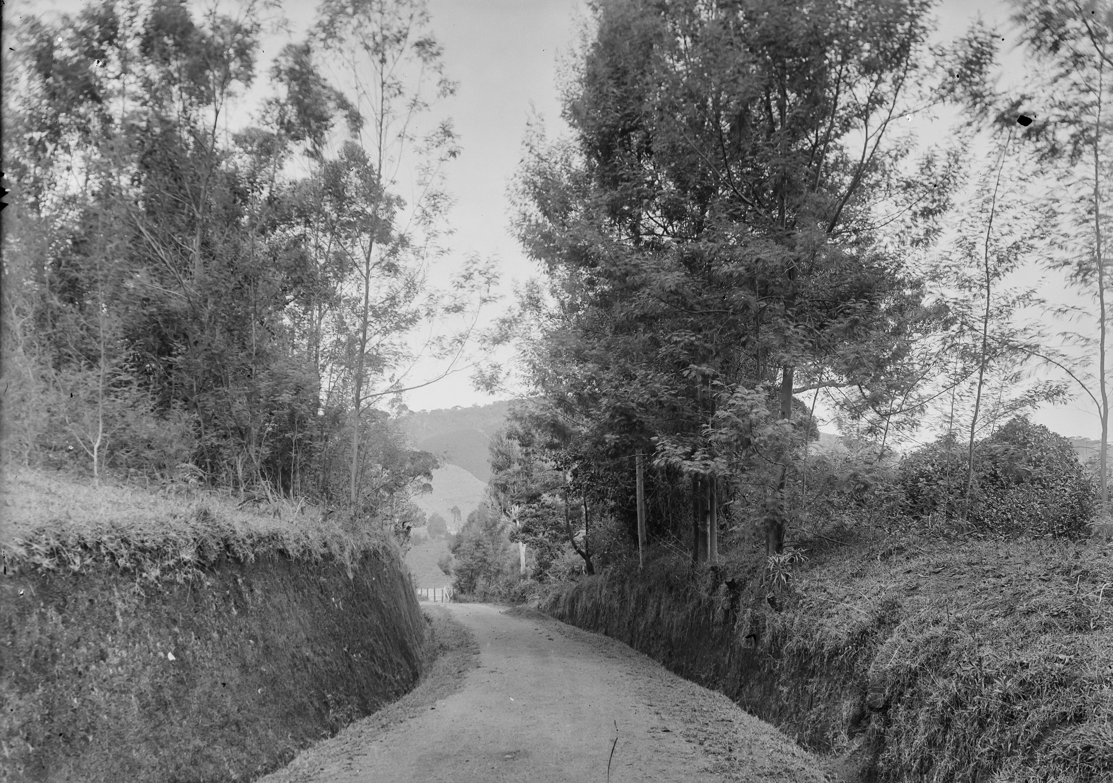 Photo by anniespratt