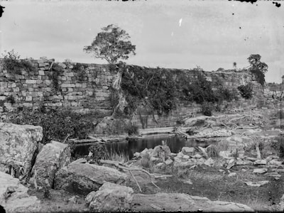 A weathered stone wall covered in ivy and vegetation runs horizontally across the landscape. In front of the wall, there is a small pond surrounded by rocks and sparse grasses. A few trees with gnarled trunks and sparse foliage grow alongside the wall, adding to the scene's rustic and ancient appearance.