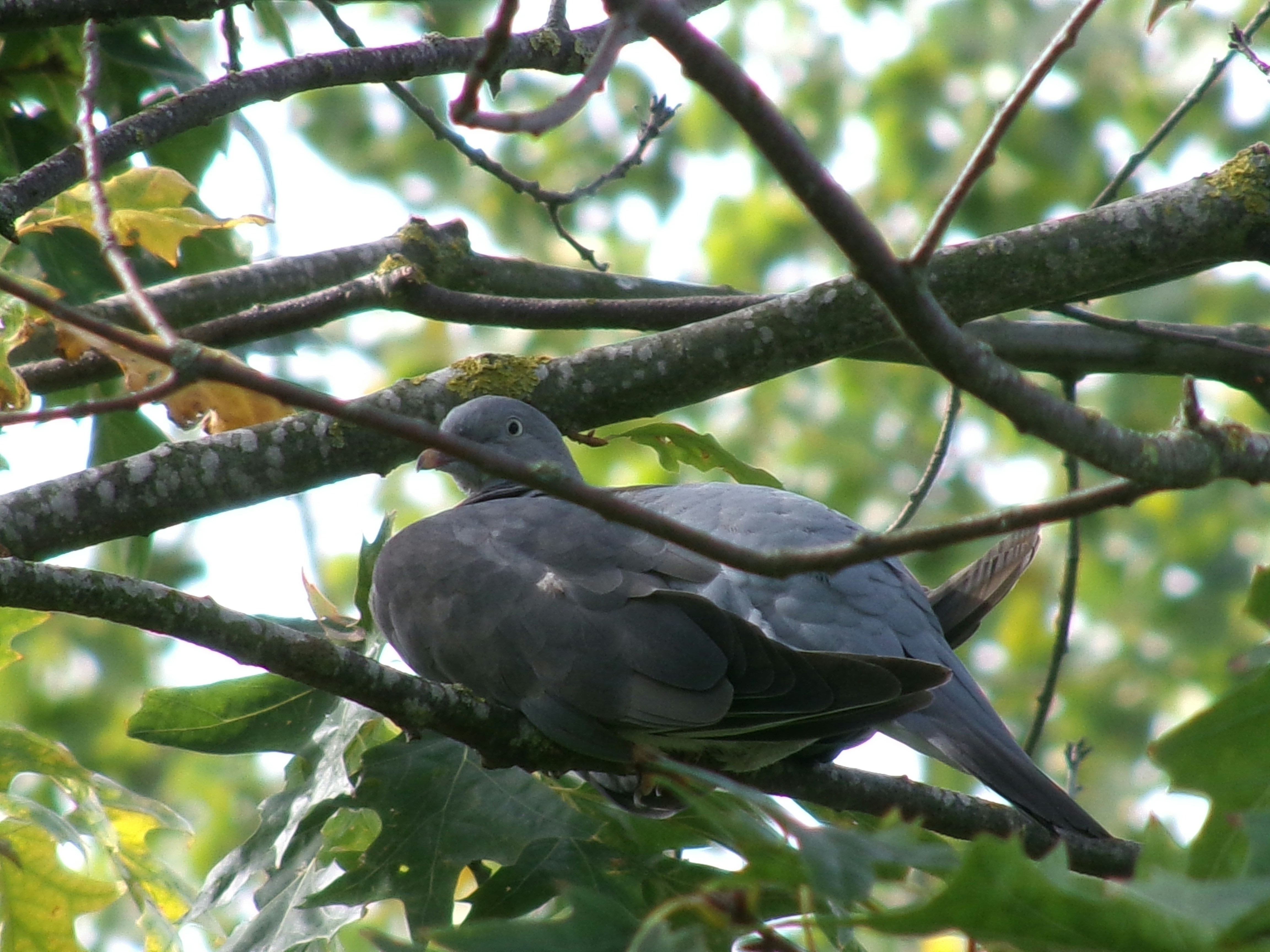 Photo by shotzdaniel