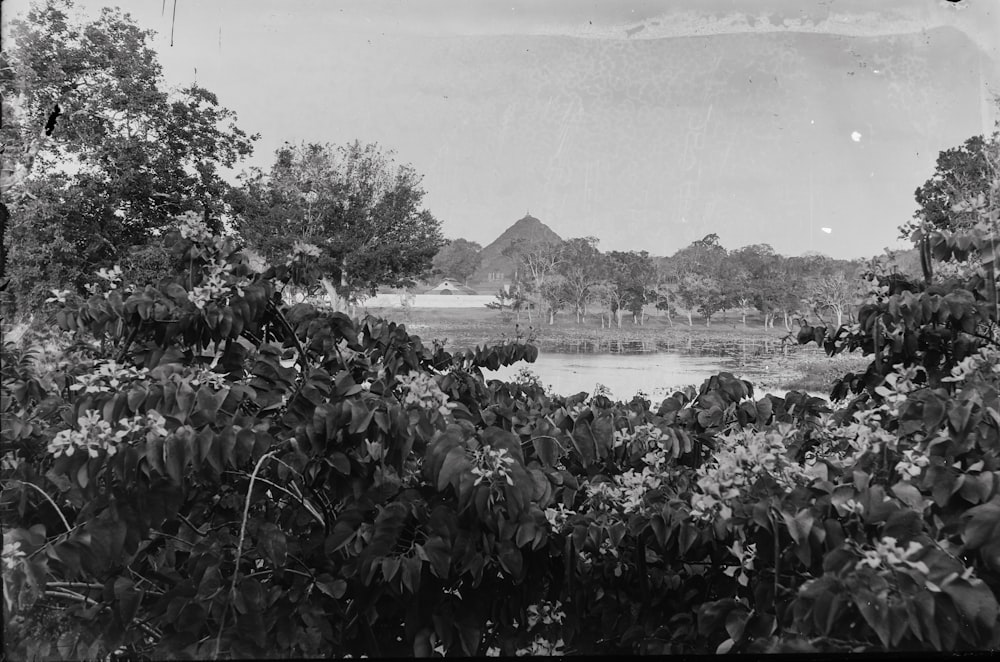 a black and white photo of a lake surrounded by trees