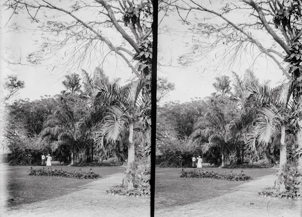 a black and white photo of people in a park