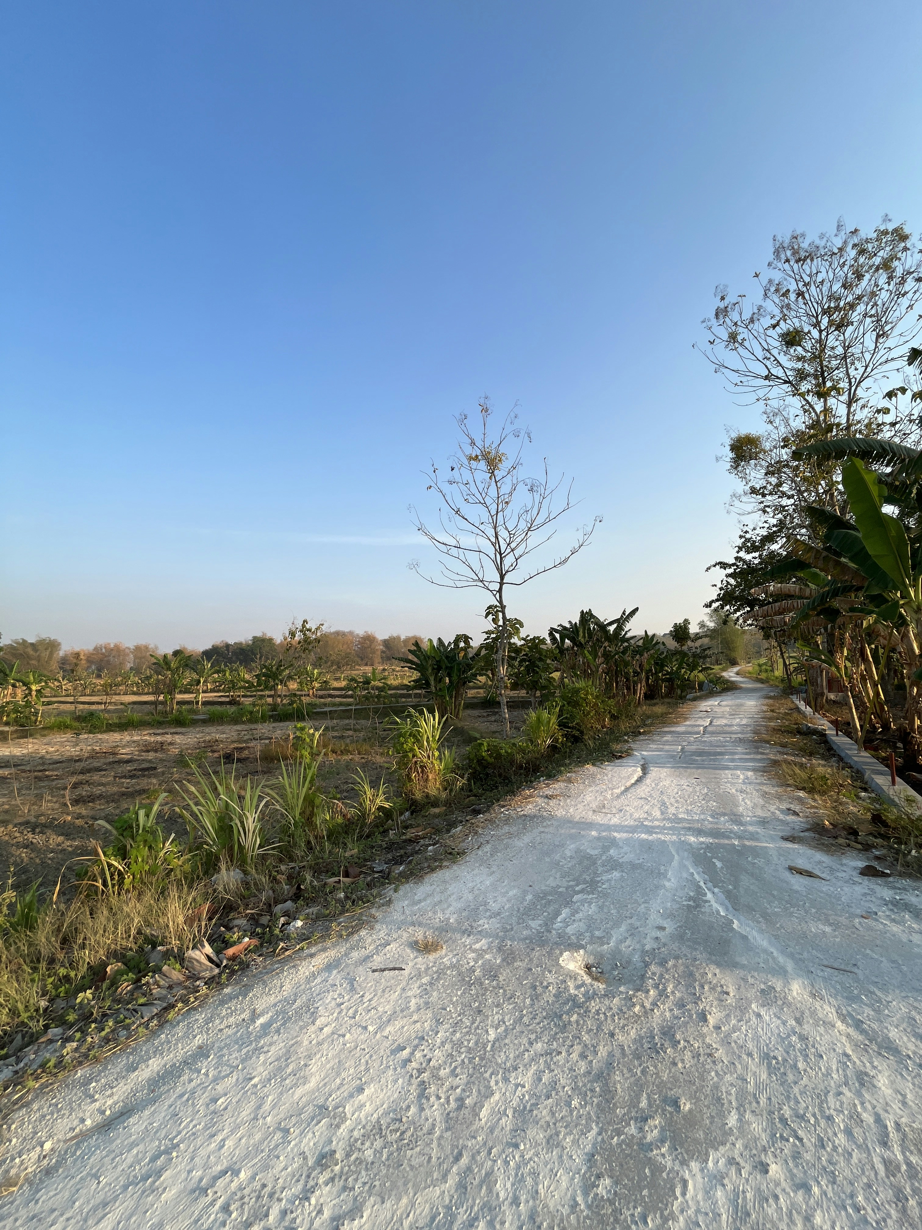 Photo by andrianspace