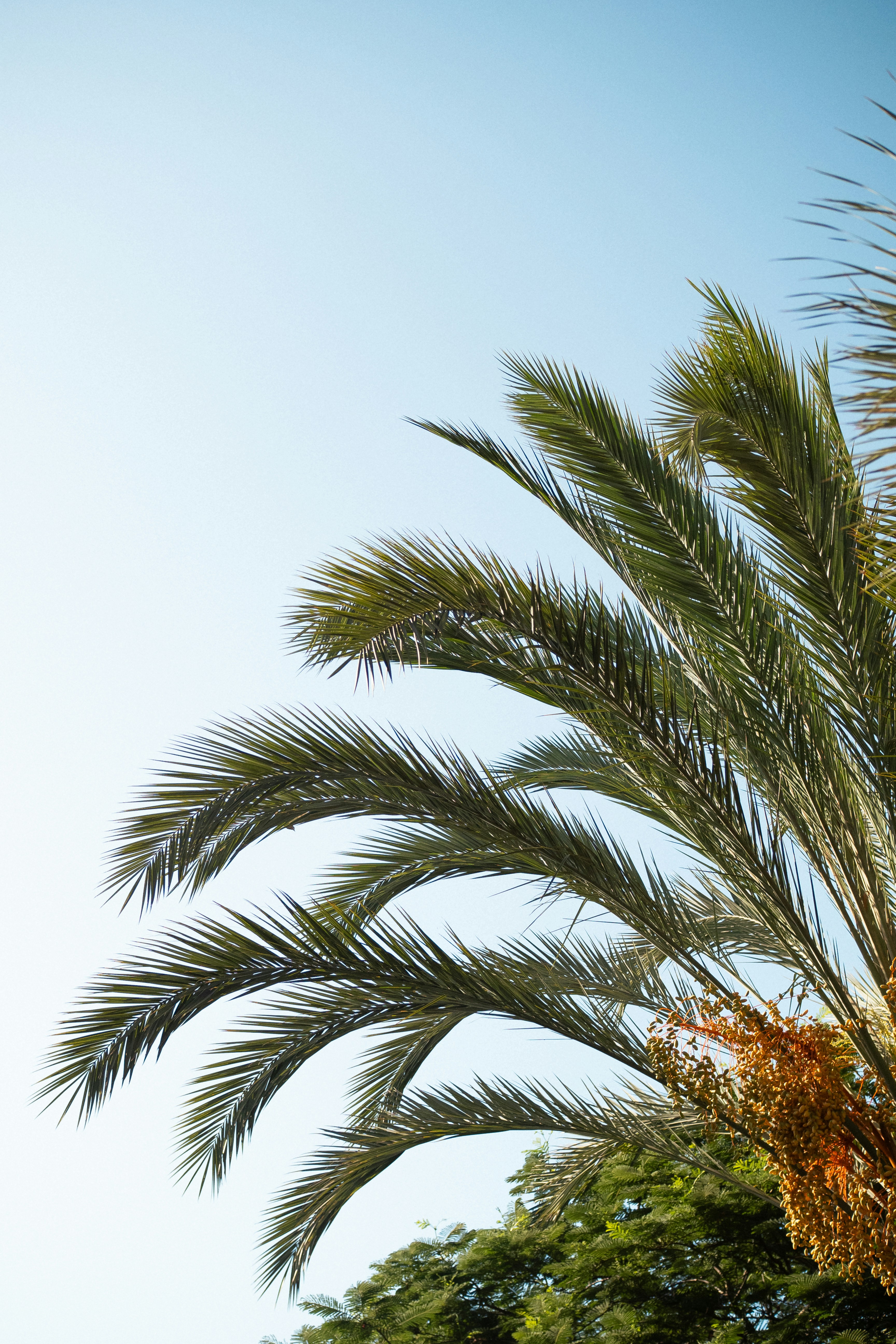 Photo by sirisvisual