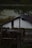 A partially constructed wooden structure with a tin roof stands in a rural area. The building is surrounded by lush greenery, including trees and a body of water in the background. The roof is made of corrugated metal sheets, and there is visible wooden framework supporting the structure.