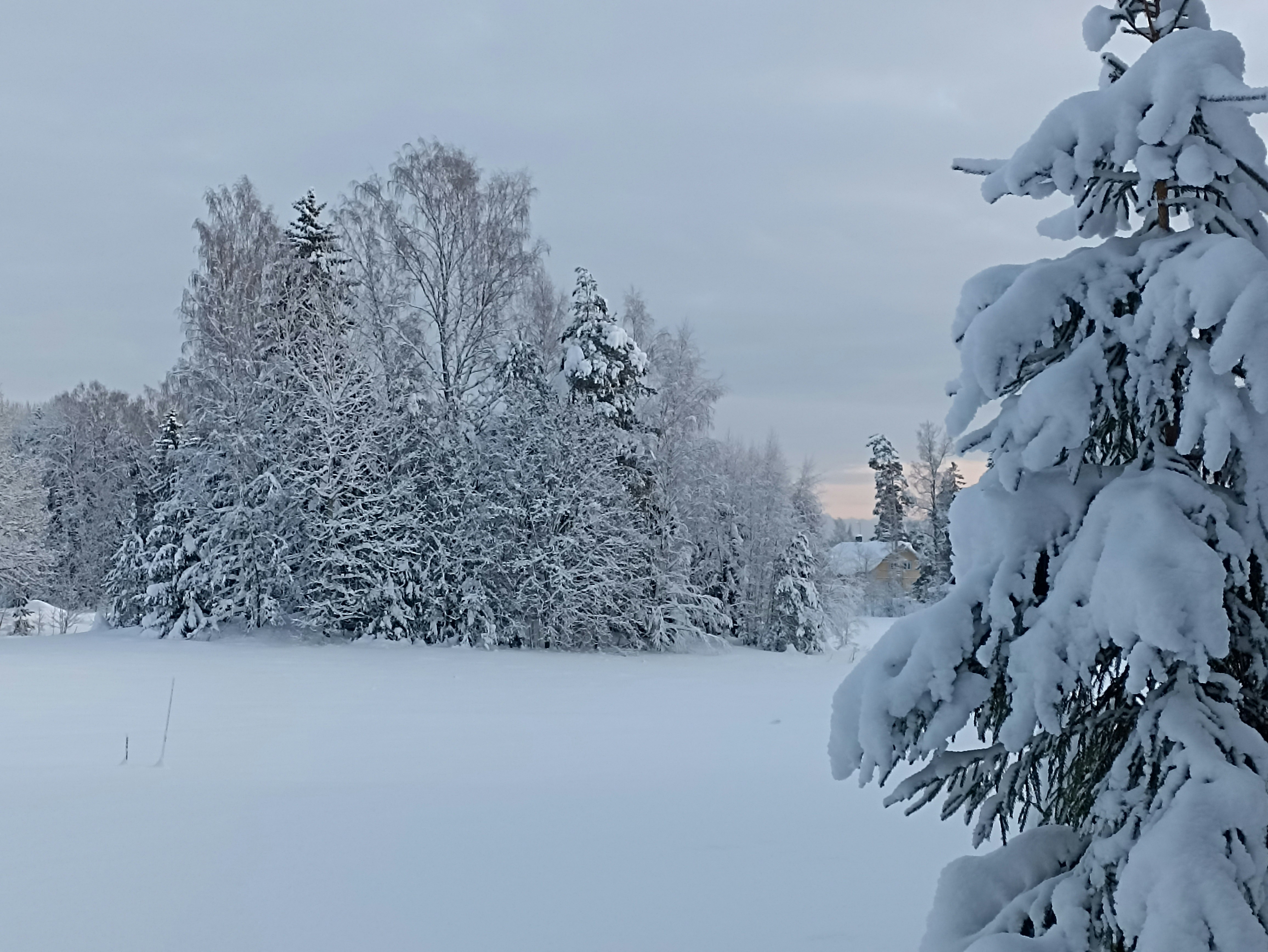 Photo by nata_yachanova