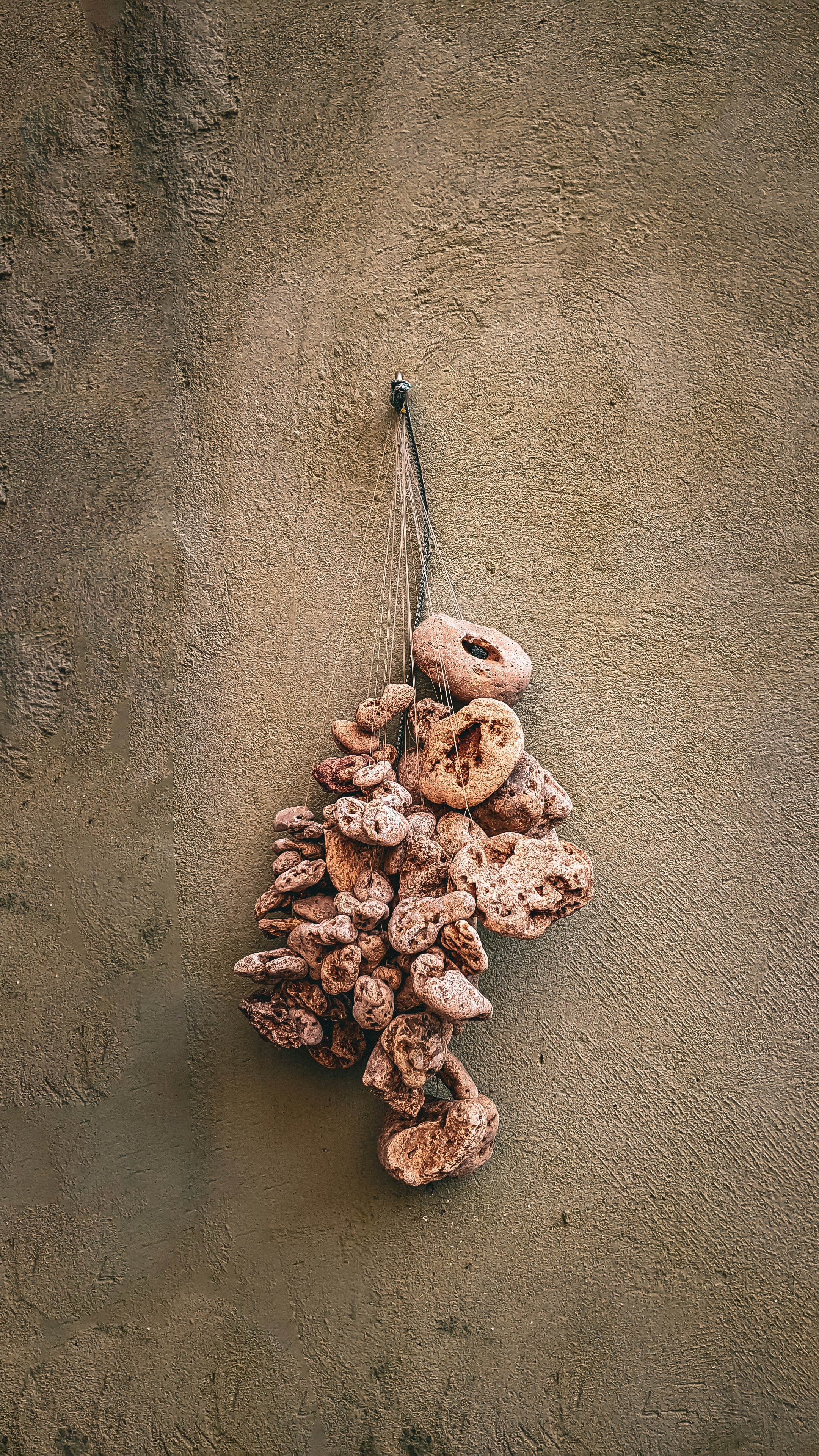 a bunch of doughnuts hanging from a string