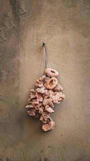 A bunch of circular, natural stones or coral pieces is tied together with a string and hangs on a textured beige wall.