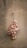 A bunch of circular, natural stones or coral pieces is tied together with a string and hangs on a textured beige wall.