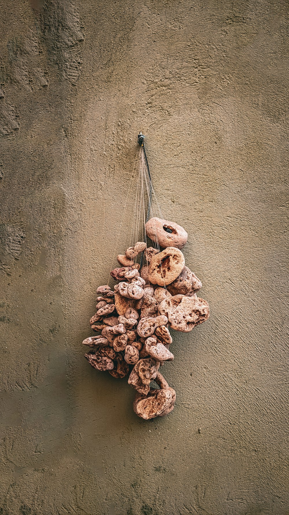 a bunch of doughnuts hanging from a string