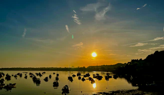 a group of boats floating on top of a lake