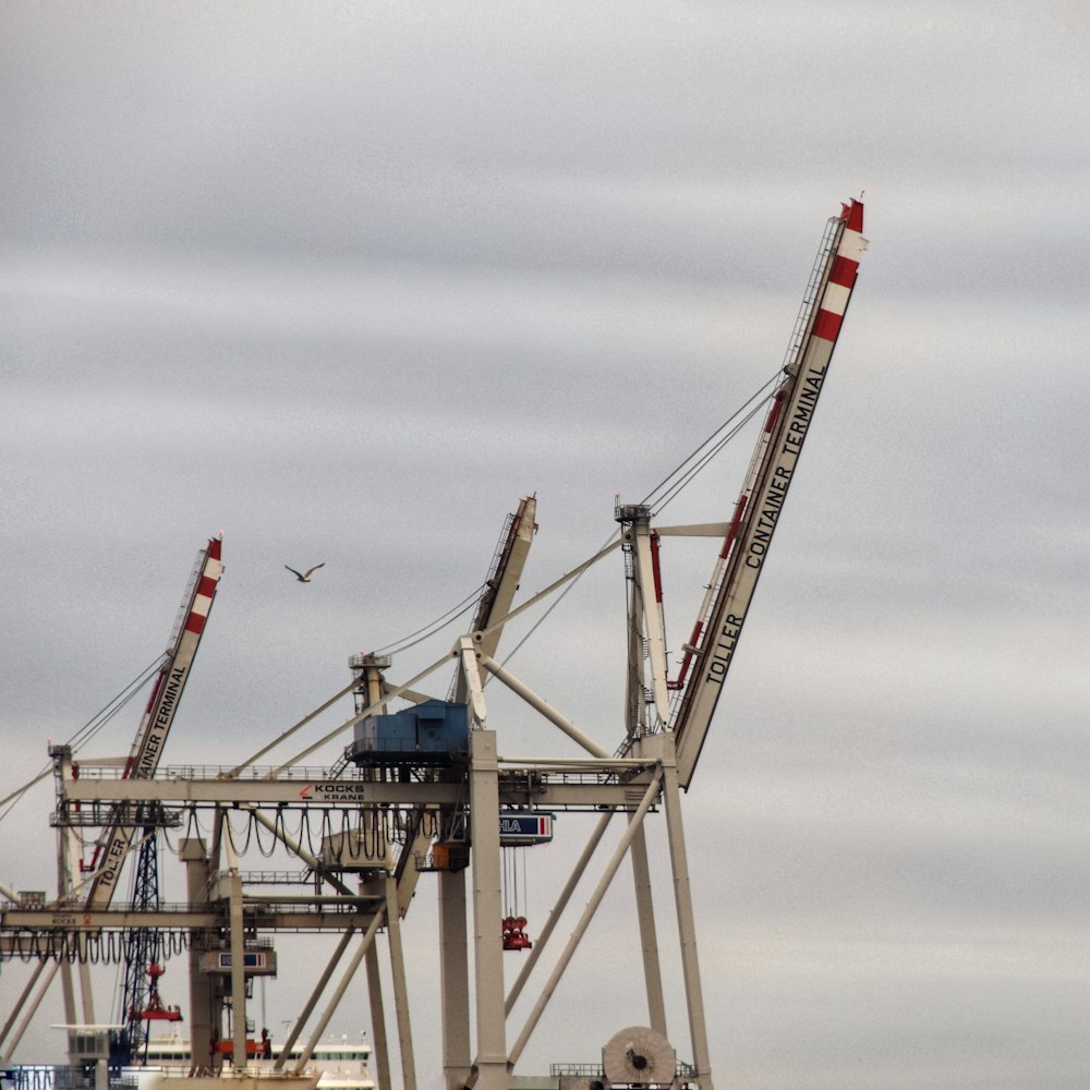 a crane that is sitting in the water