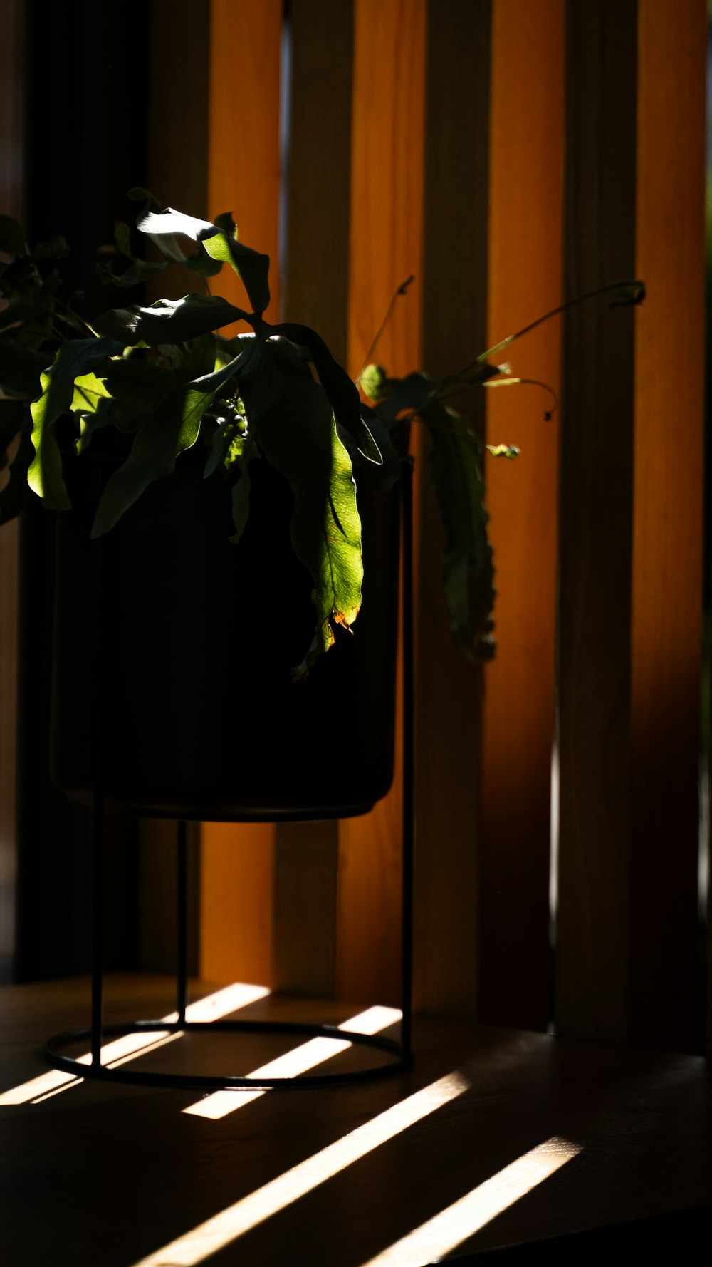 a potted plant sitting on top of a metal stand