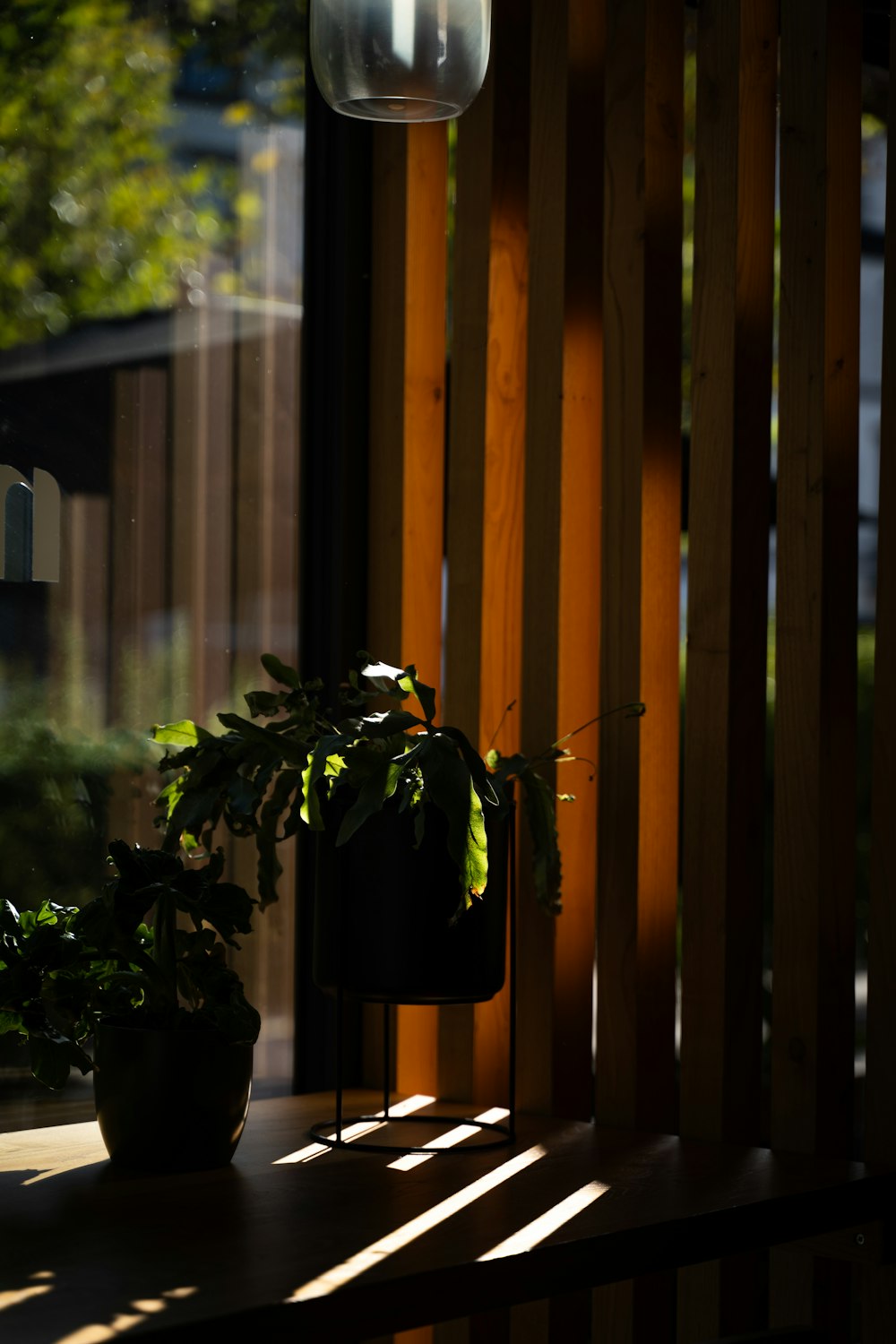 a potted plant sitting on top of a wooden table