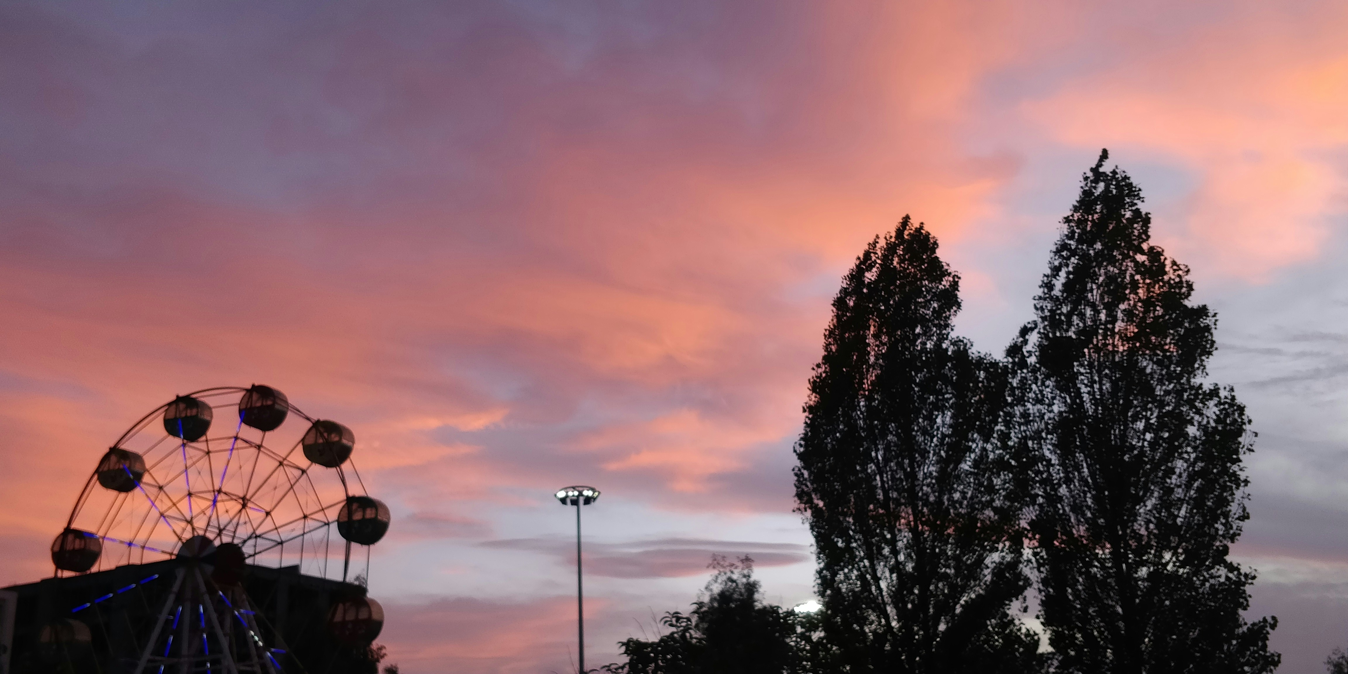 a ferris wheel sitting in the middle of a park