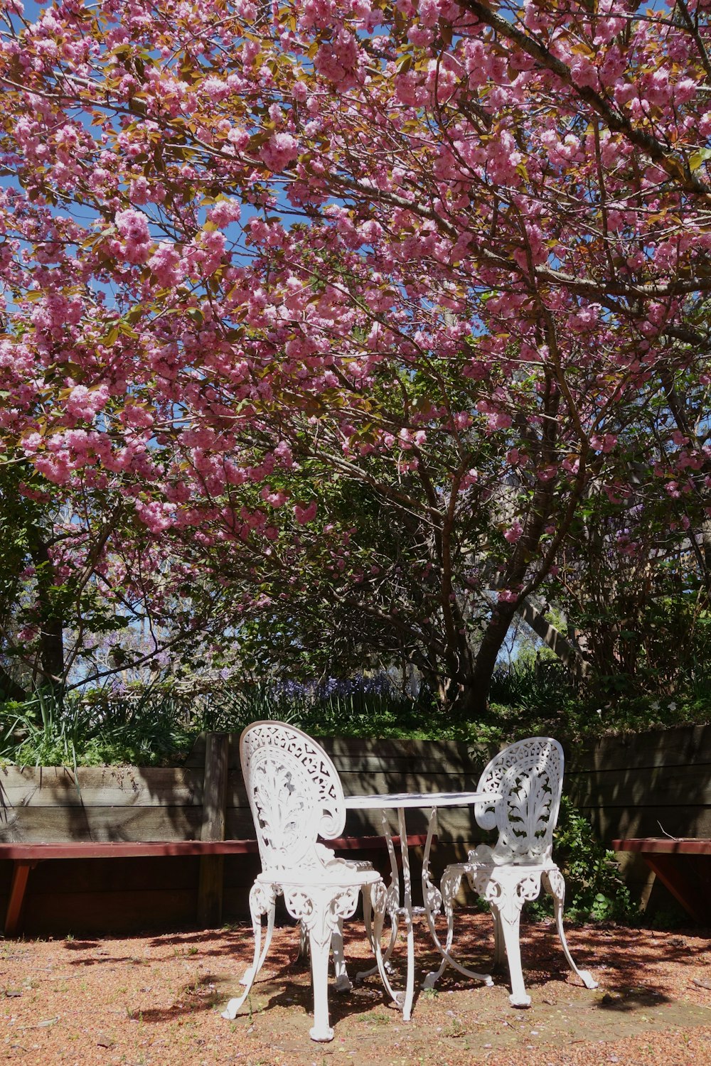 a couple of white chairs sitting under a tree