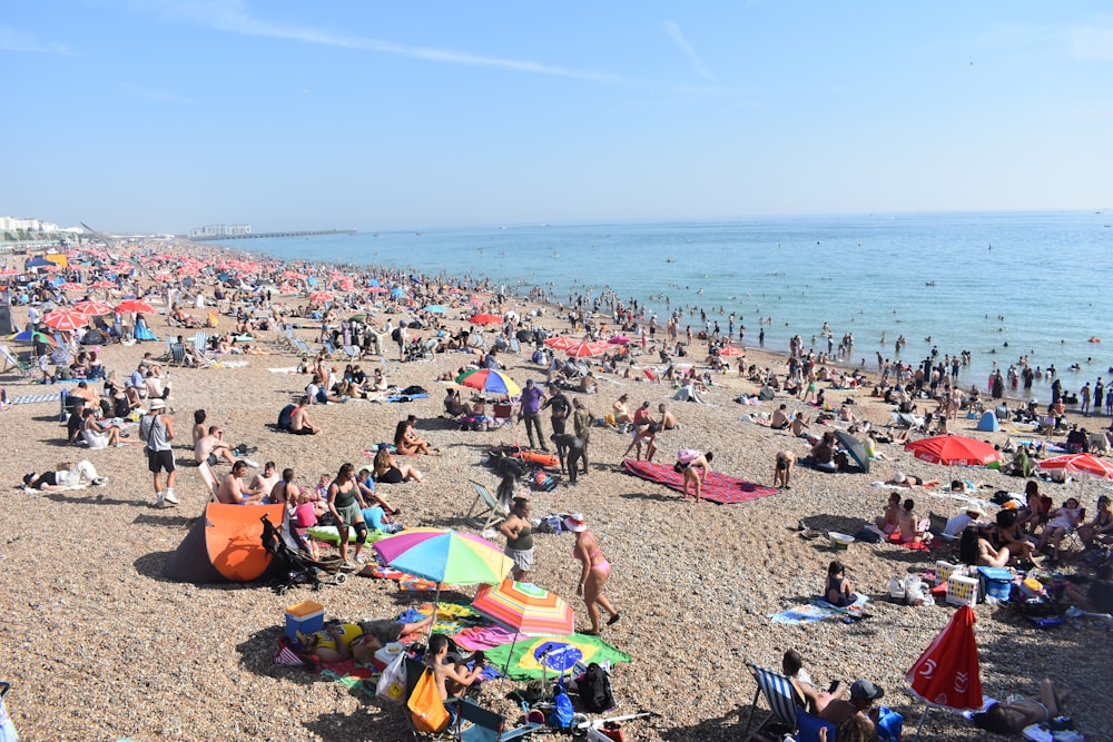 un grande gruppo di persone su una spiaggia