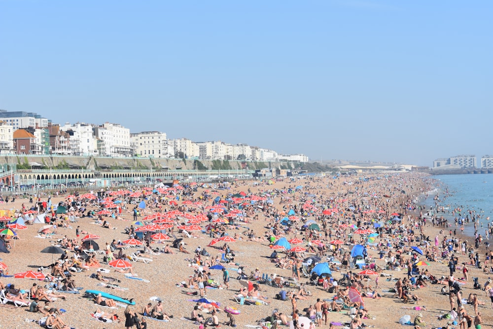 a large group of people on a beach