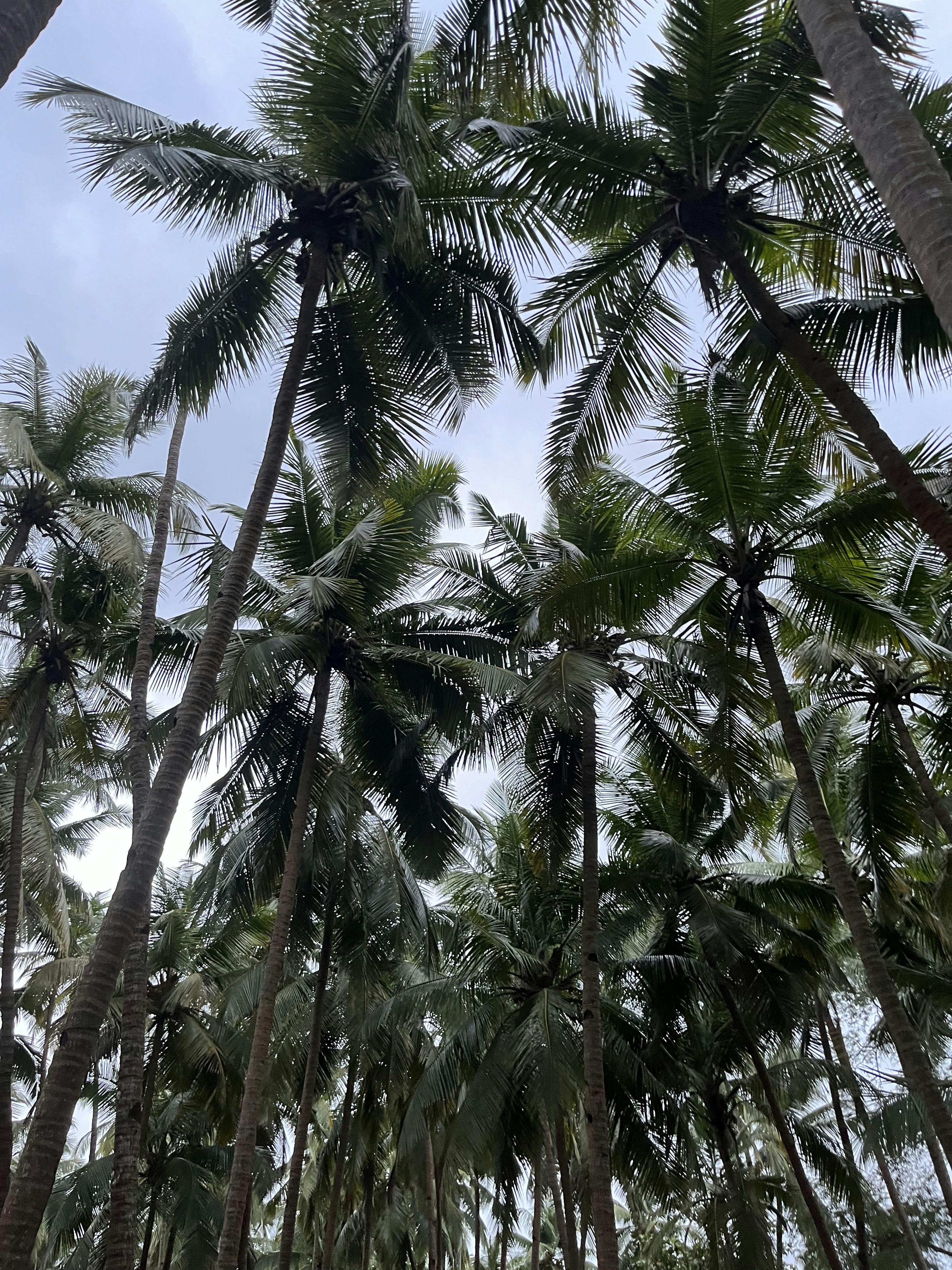 Photo by shikhar2807