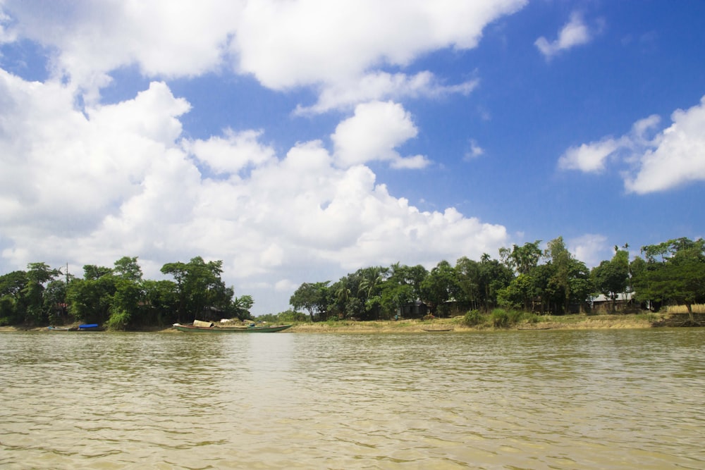 a body of water with trees in the background