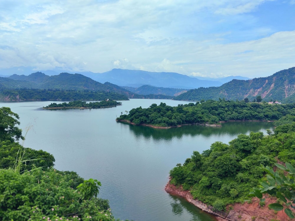 a large body of water surrounded by lush green trees