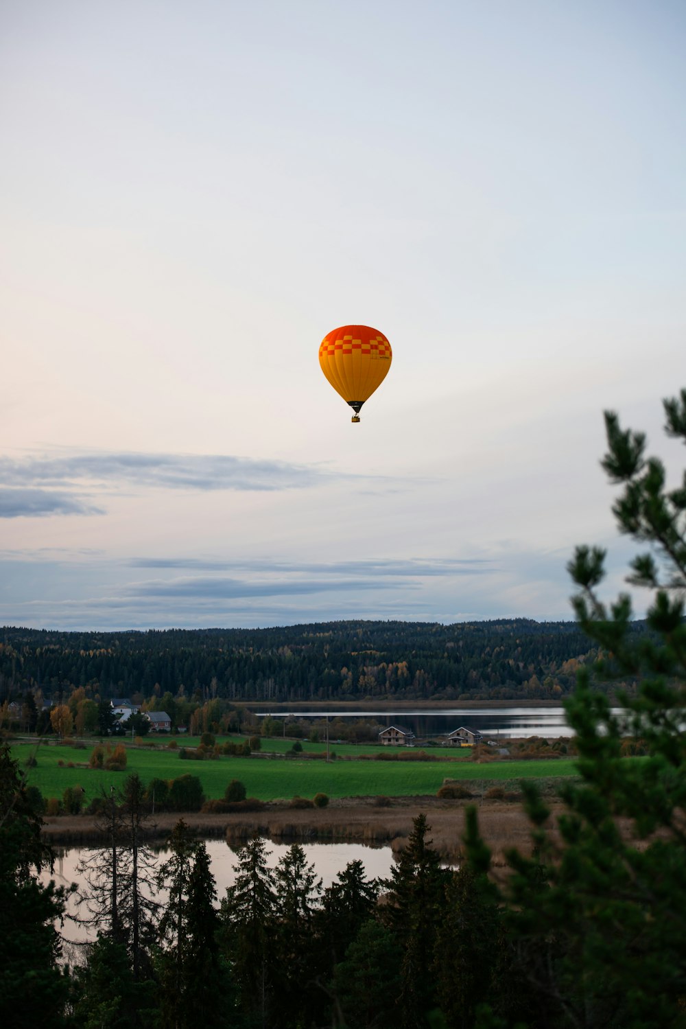 a hot air balloon flying over a lush green field