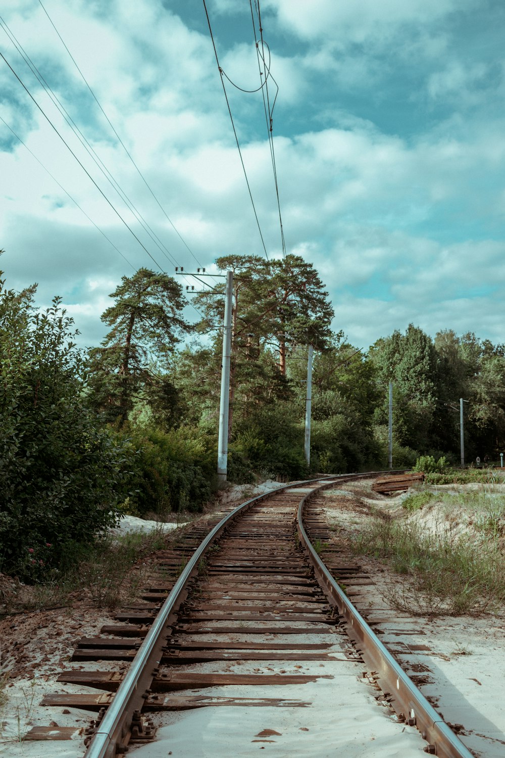 a train track running through a forest under a cloudy sky