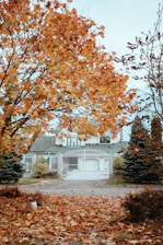 A vibrant autumn yard cleanup scene with raked leaves and trimmed hedges.