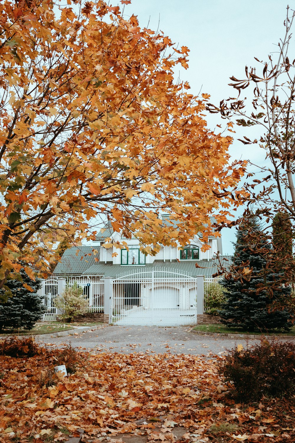 a white house surrounded by trees and leaves