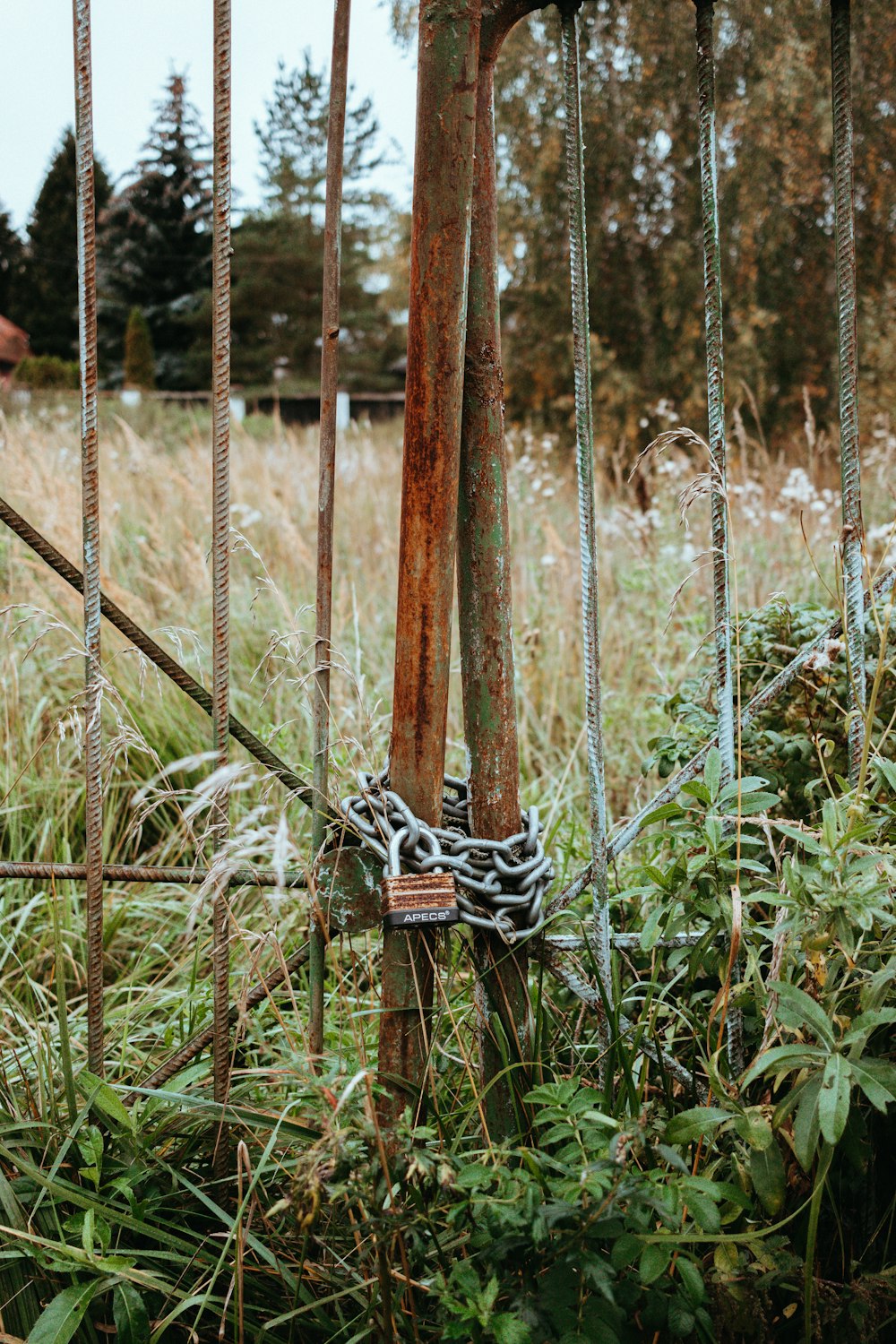 a chain hanging from a pole in a field