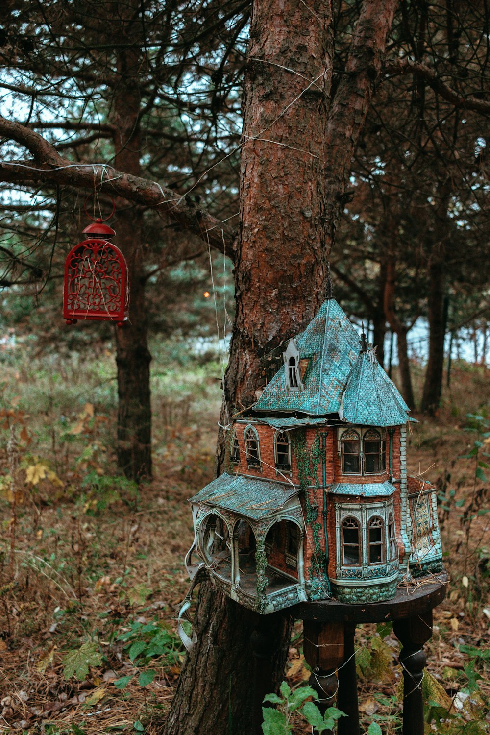 a bird house on a tree in the woods
