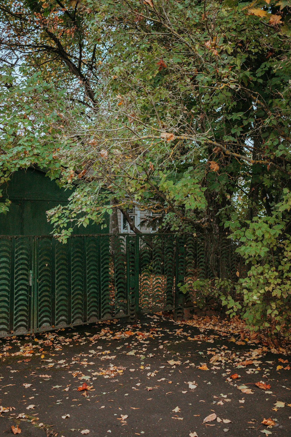 a green fence surrounded by leaves and trees