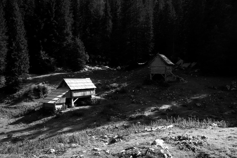 a black and white photo of a cabin in the woods