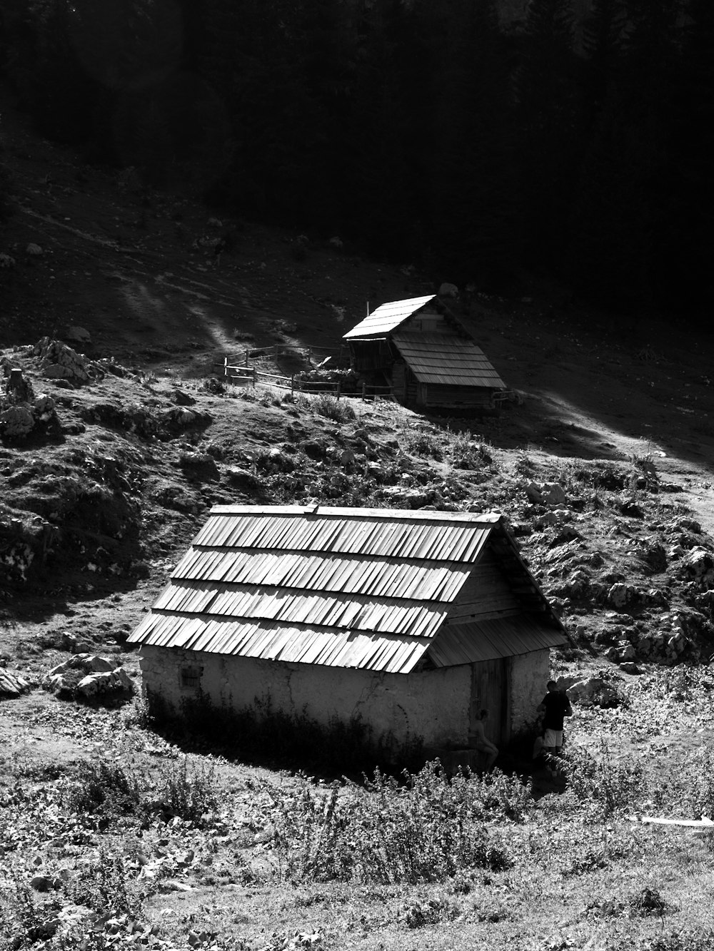 a black and white photo of a house in a field