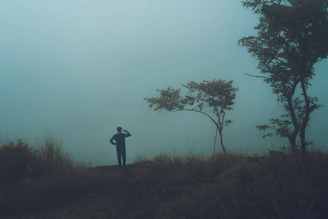 A solitary figure standing at the edge of a vast, foggy landscape, gazing into an uncertain but inviting future.