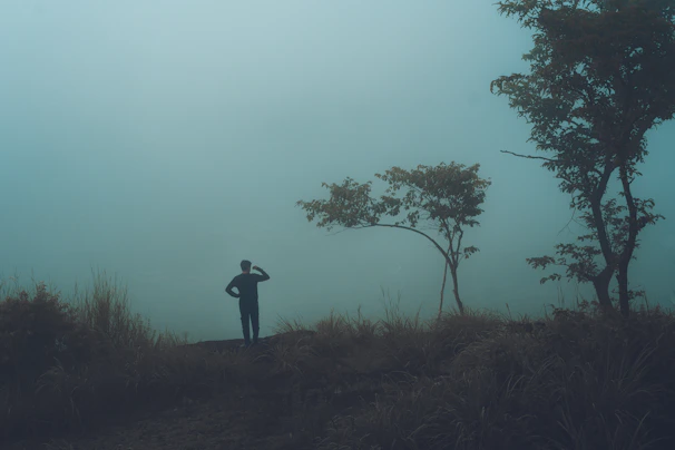 A solitary figure standing at the edge of a vast, foggy landscape, gazing into an uncertain but inviting future.