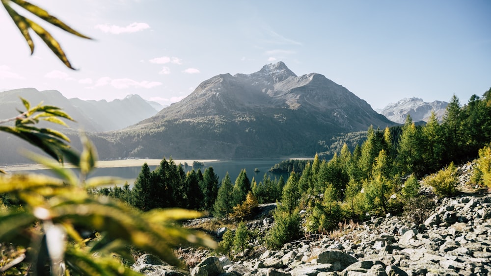 a view of a mountain range with a lake in the foreground