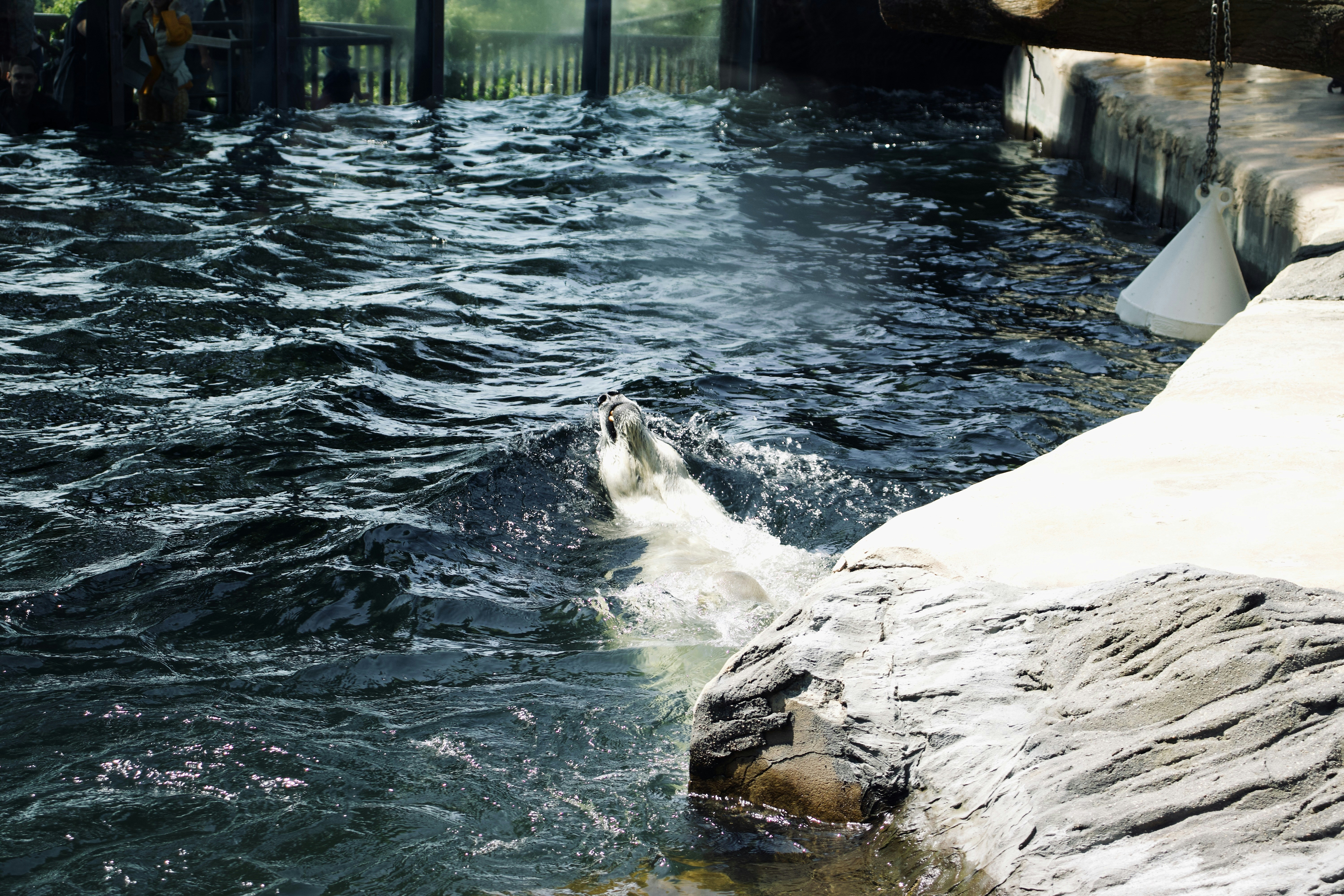 Photo by jakub_neskora