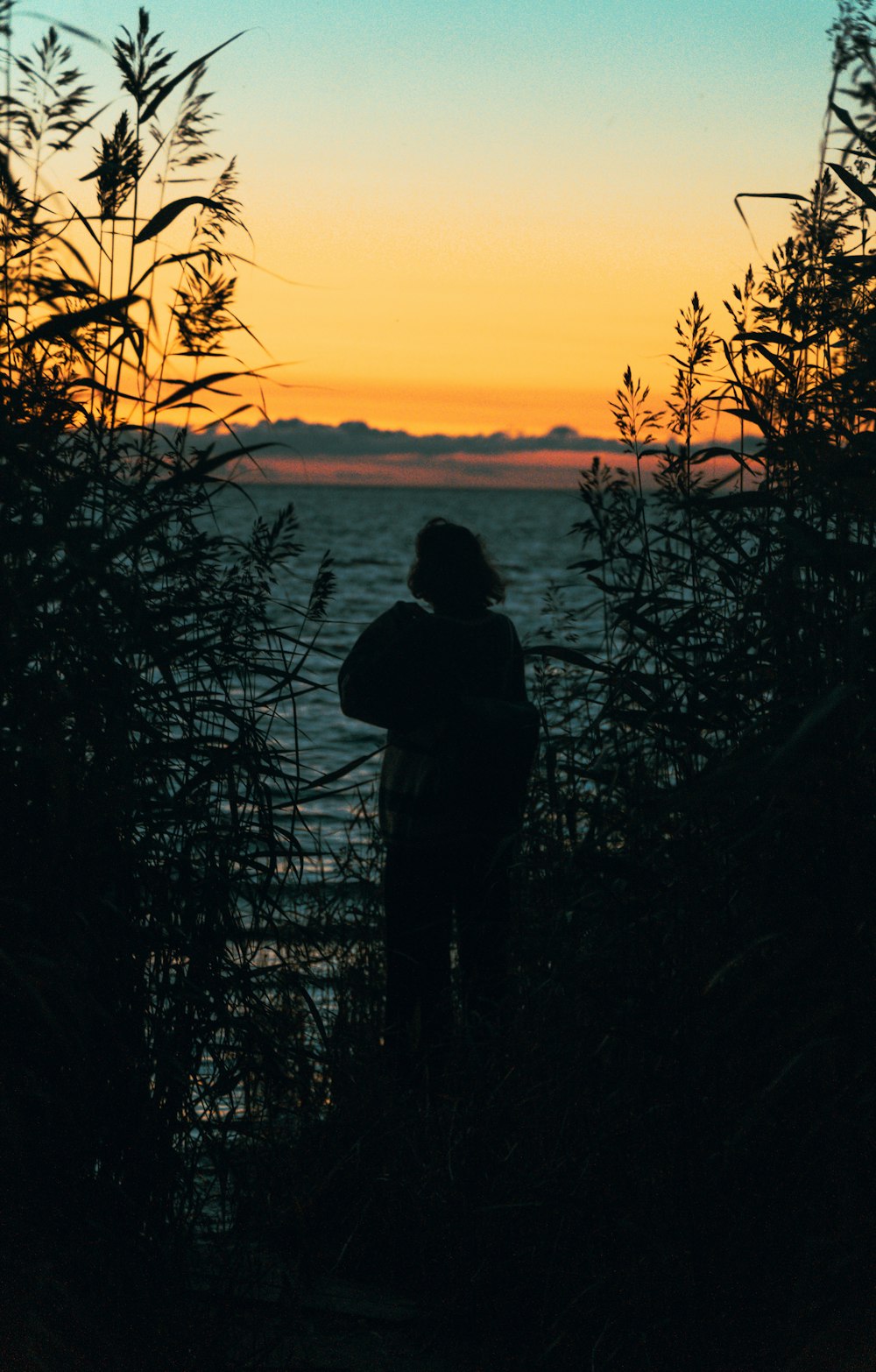 a person standing in front of a body of water