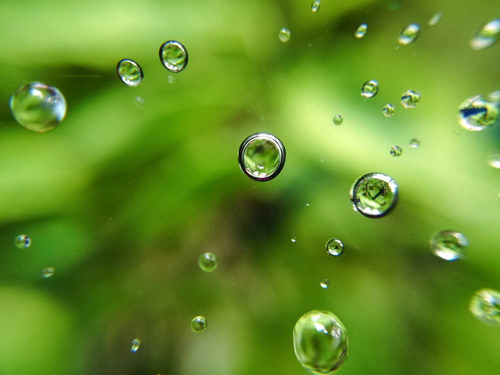 a close up of water droplets on a green leaf