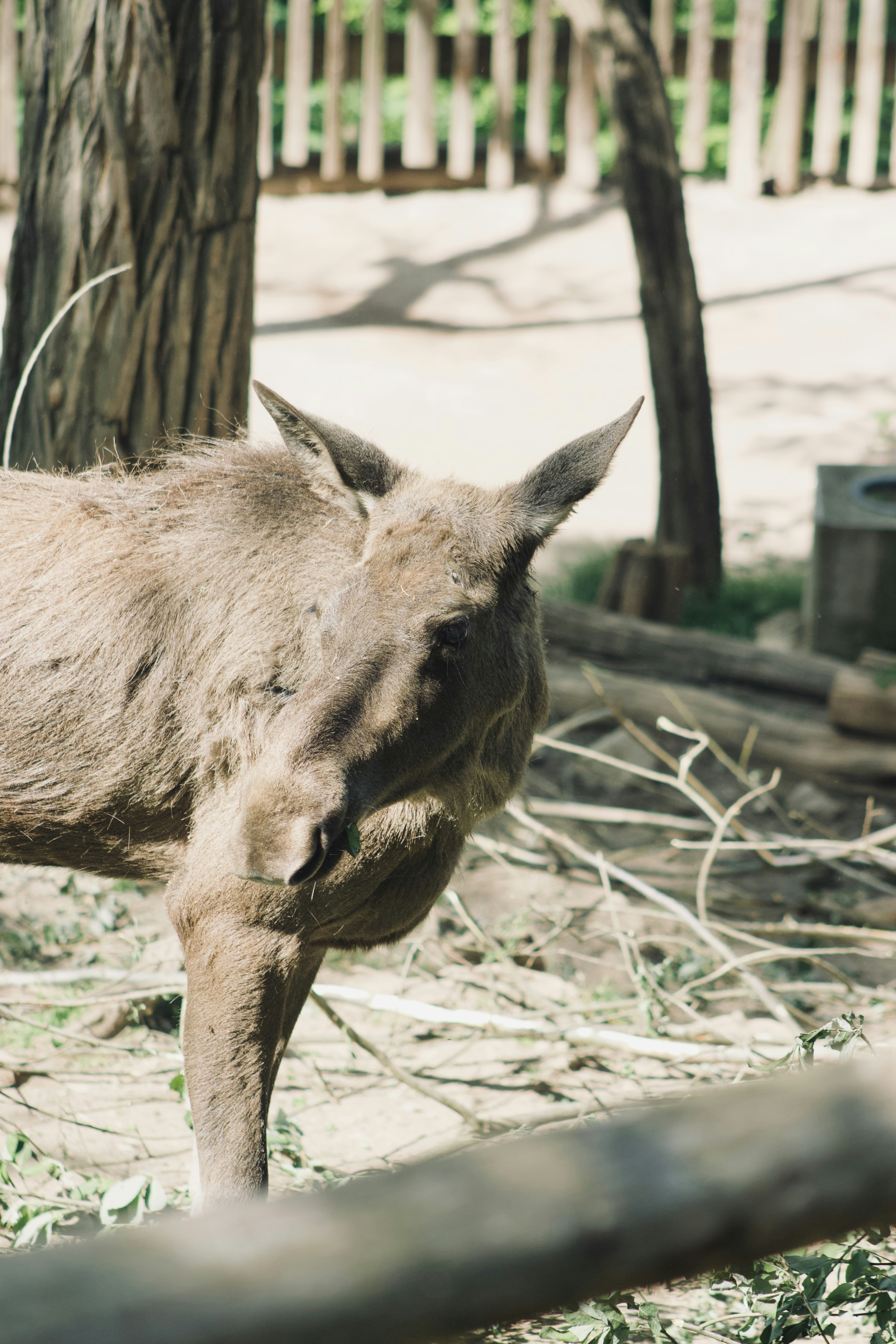 Photo by jakub_neskora