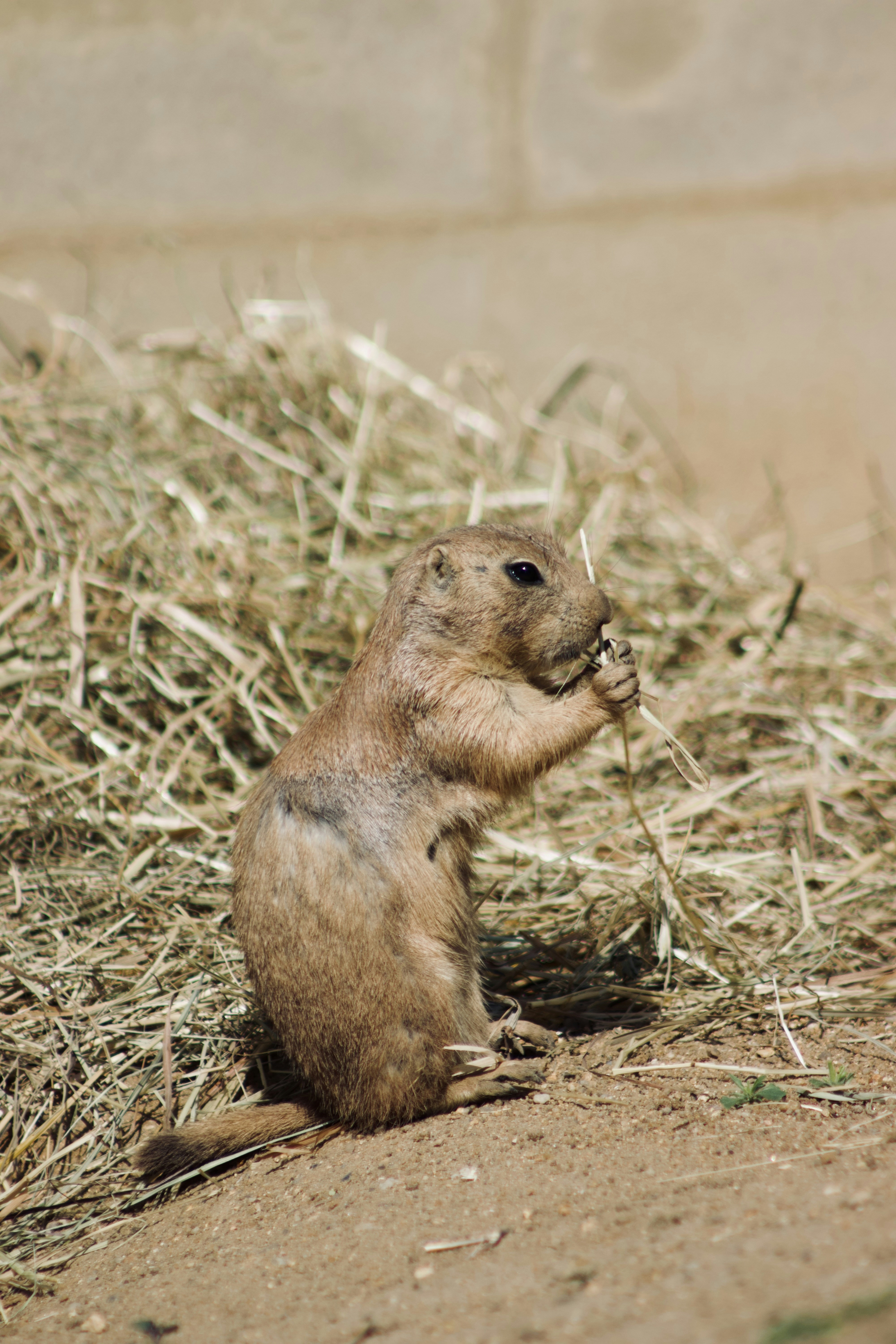 Photo by jakub_neskora