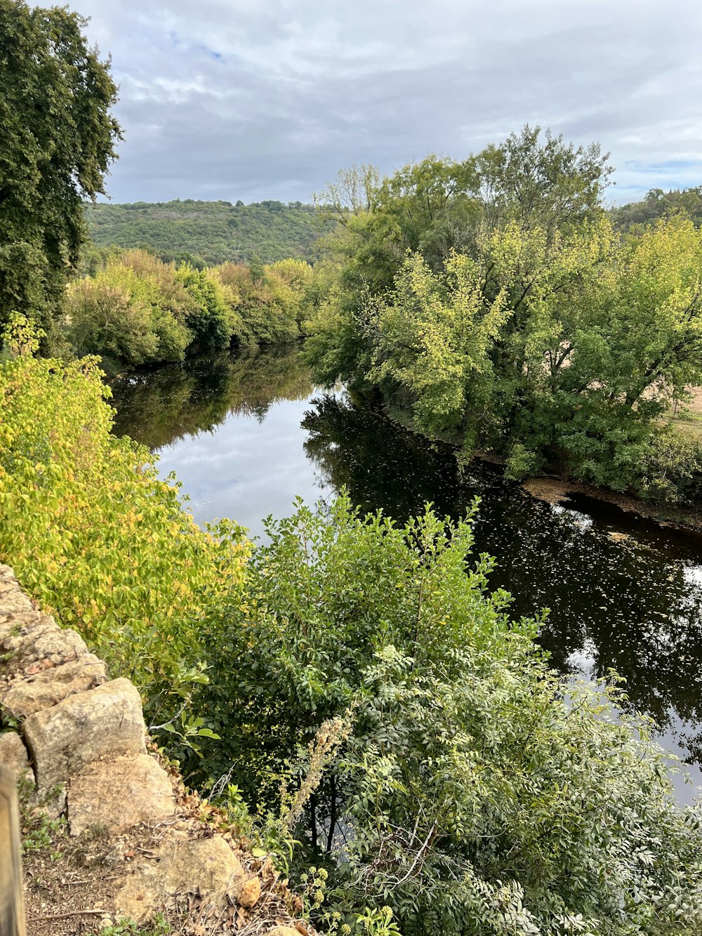 a river running through a lush green forest